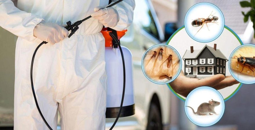 Yenipazar Böcek İlaçlama