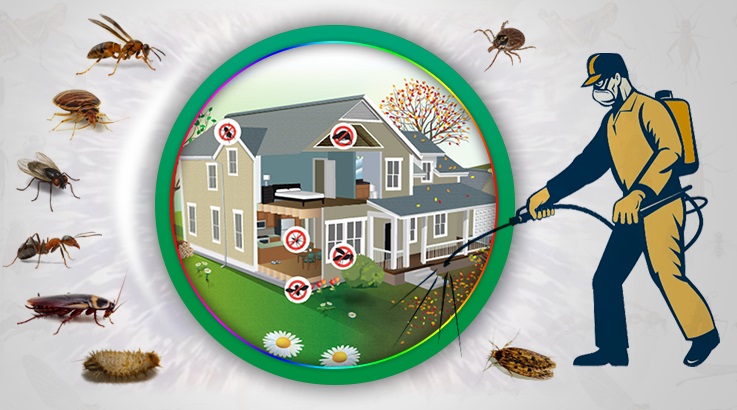 Yenipazar Böcek İlaçlama