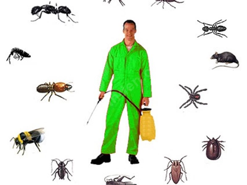 Yenipazar Böcek İlaçlama